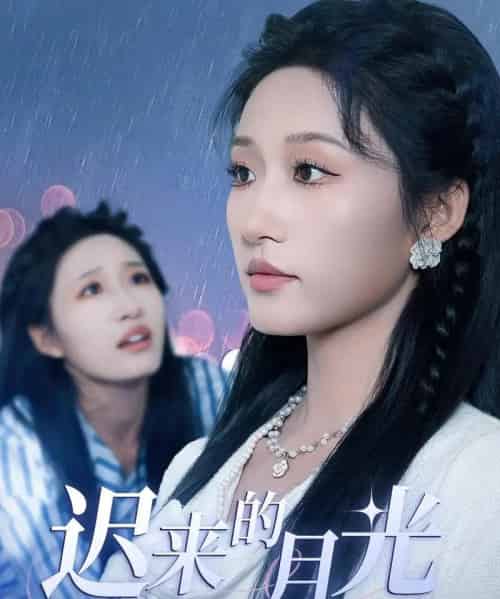 迟来的月光 迟来的月光