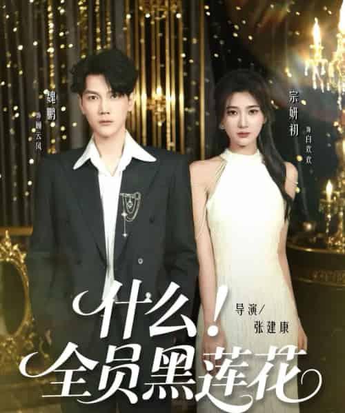 什么！全员黑莲花（60集全）魏鹏＆宗妍初-海之城短剧项目
