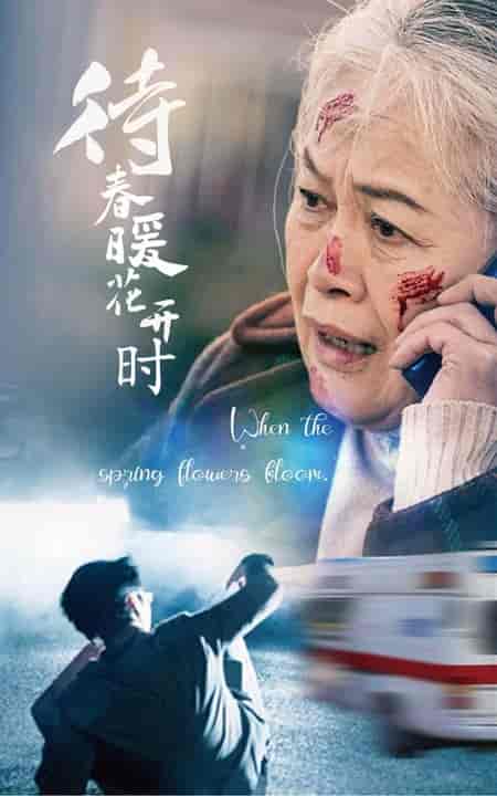 待春暖花开时（43集全） - 海之城短剧