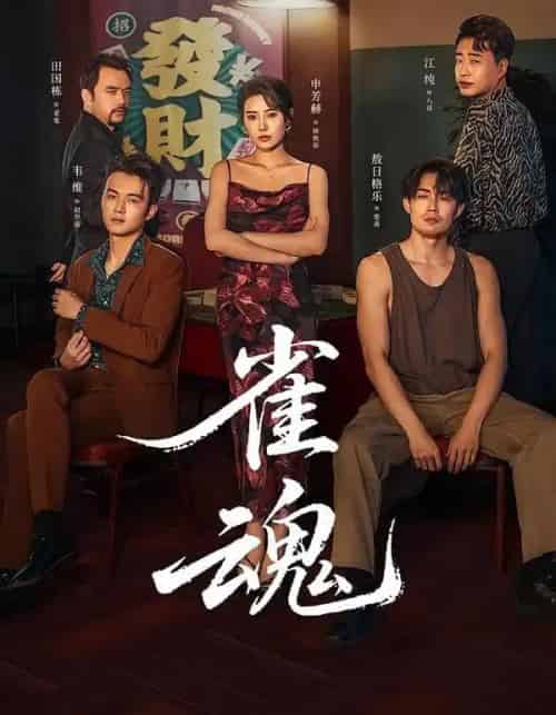 雀魂（60集全）申芳赫＆敖日格乐-海之城短剧项目