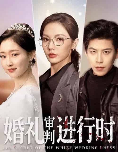 婚礼审判进行时（62集全）王为洋＆倪若芸-海之城短剧项目