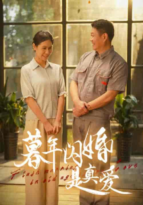 暮年闪婚是真爱（36集全）江诚＆白洁 - 海之城短剧