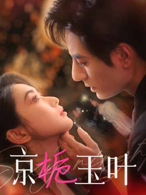 京栀玉叶（85集全）李豪＆崔十一 - 海之城短剧