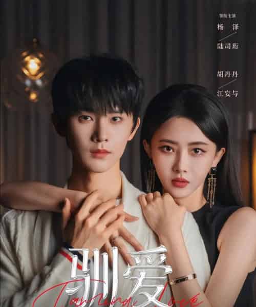 驯爱（80集全）杨泽＆胡丹丹-海之城短剧项目