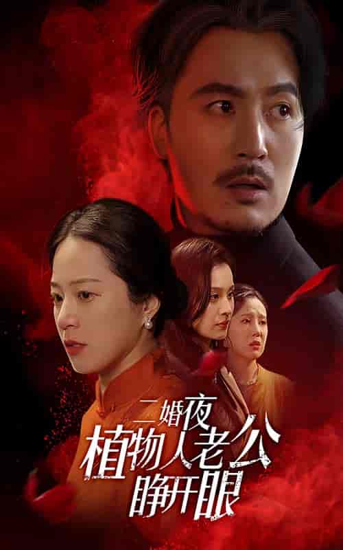 二婚夜植物人老公睁开眼（78集全） - 海之城短剧