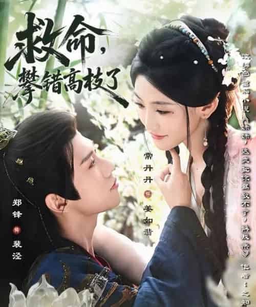 救命，攀错高枝了（70集全）郑锋＆常丹丹-海之城短剧项目