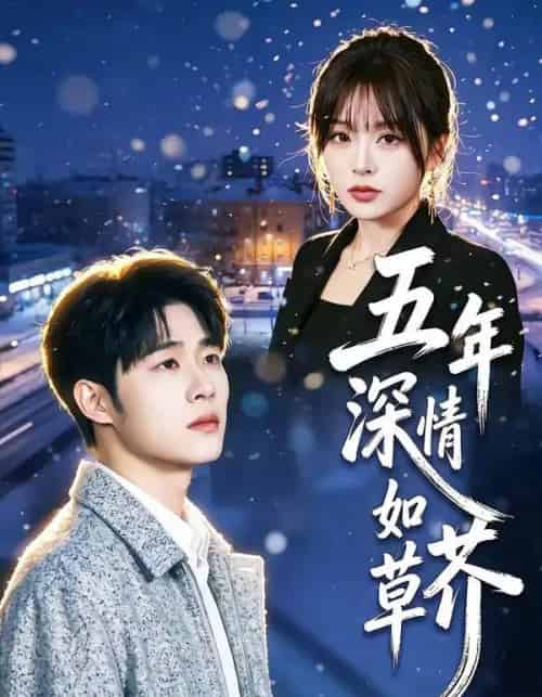 五年深情如草芥（51集全）蔡佳伦＆袁莉娜-海之城短剧项目