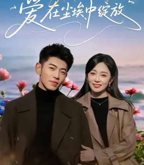 爱在尘埃中绽放（86集全）李泉成＆姚宇晨-海之城短剧项目