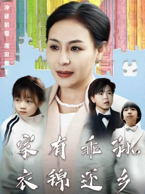 家有乖孙，衣锦还乡（61集）王洁 - 海之城短剧