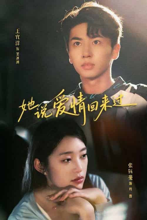 她说爱情回来过（86集）王宜洋＆张钰斐 - 海之城短剧