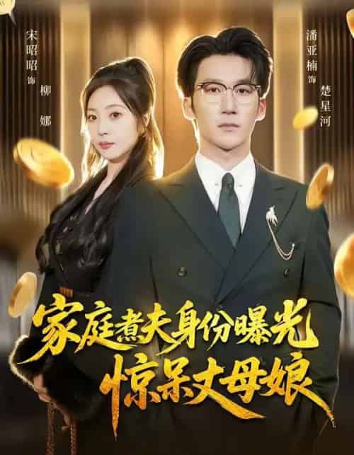 家庭煮夫身份曝光惊呆丈母娘（80集全）潘亚楠＆宋昭昭-海之城短剧项目