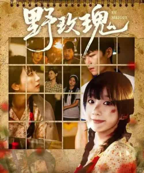 野玫瑰（82集全）钊瑞＆象韵洁-海之城短剧项目