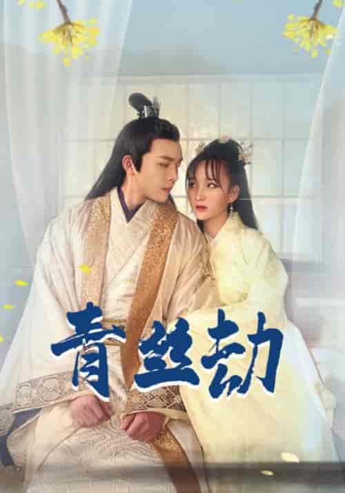 青丝劫（22集全）薛瑞＆慕晴 - 海之城短剧