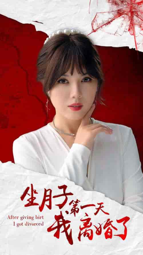 坐月子第一天我离婚了（30集全） - 海之城短剧