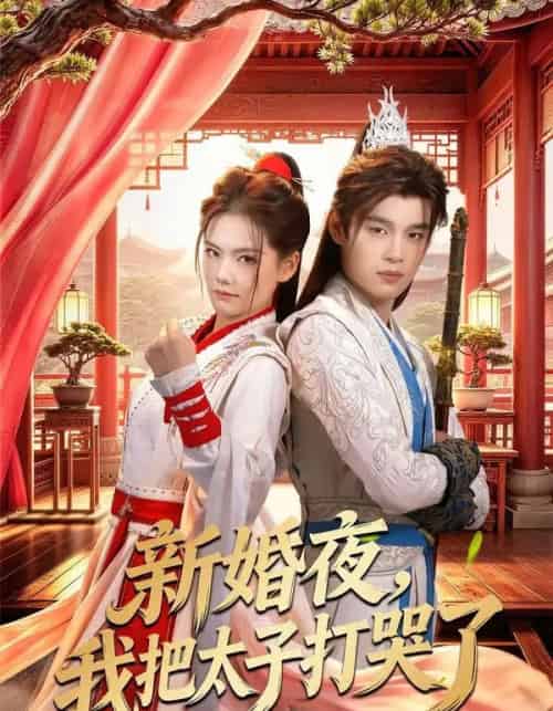 新婚夜，我把太子打哭了（52集全）房静＆刘杰睿-海之城短剧项目