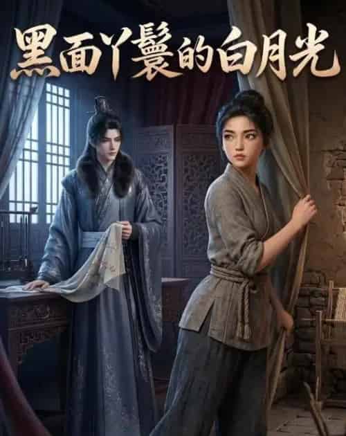 黑面丫鬟的白月光（43集全）动漫-海之城短剧项目