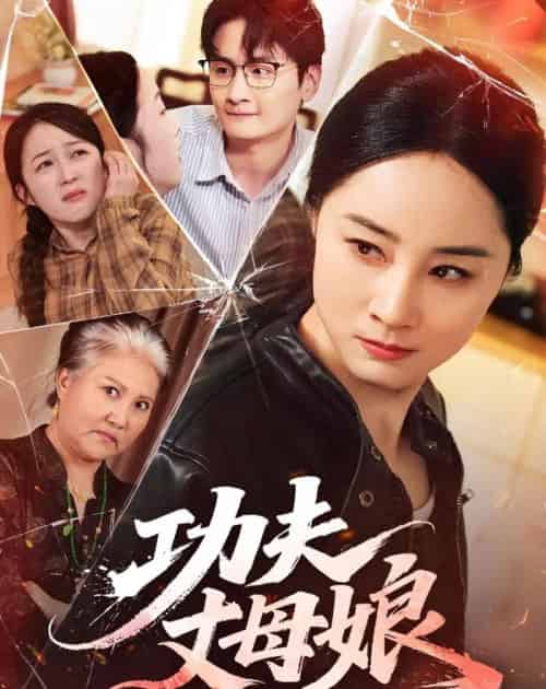 功夫丈母娘（55集全）龙馨悦＆杨玉洁-海之城短剧项目