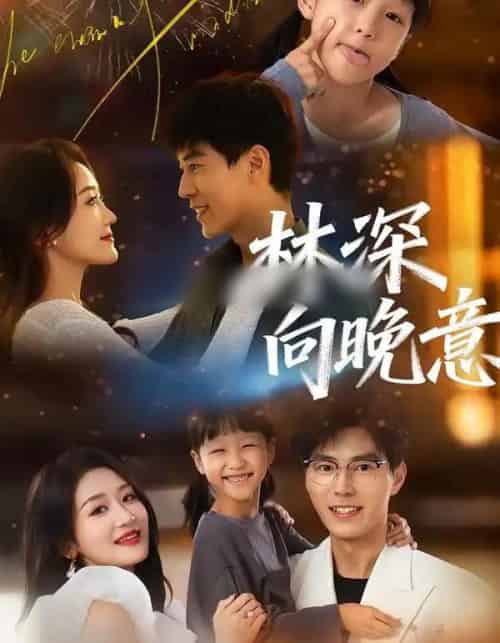 林深向晚意（70集全）翟中星＆余紫瑄-海之城短剧项目