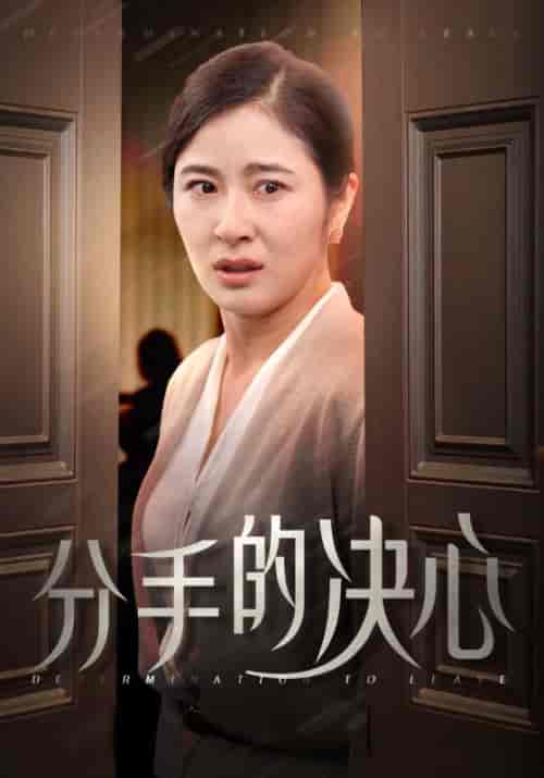 分手的决心（39集全）钟北海＆何金玉 - 海之城短剧
