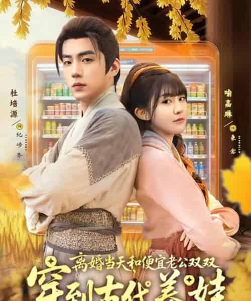 离婚当天，和便宜老公双双穿到古代养娃（71集全）杜培源＆喻嘉琳-海之城短剧项目