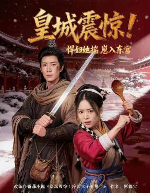 皇城震惊！悍妇她揣崽入东宫（53集全）向星雨＆江十安-海之城短剧项目