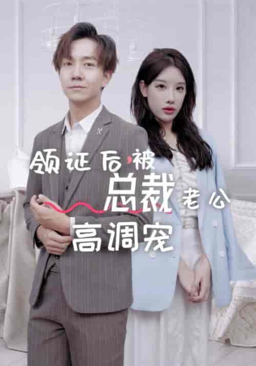 领证后，被总裁老公高调宠（79集全）容凛＆蒋菡冰 - 海之城短剧