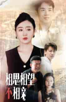 相思相望不相亲（70集全） - 海之城短剧