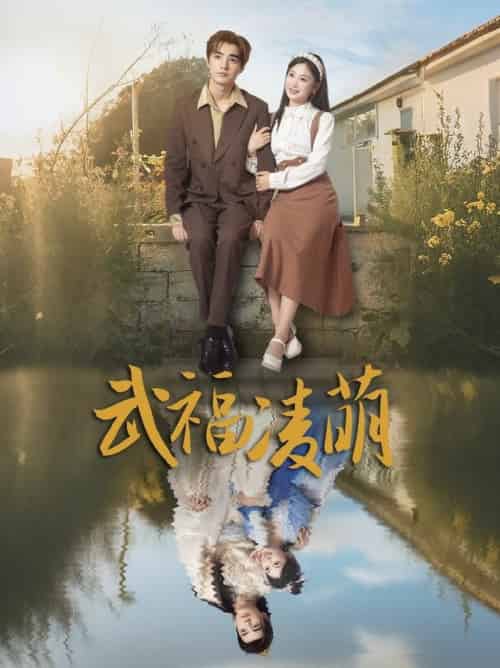 武福凌萌（71集全）铁占龙＆张若辰 - 海之城短剧