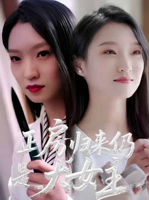 正房归来仍是大女主（48集）马晓琳 - 海之城短剧