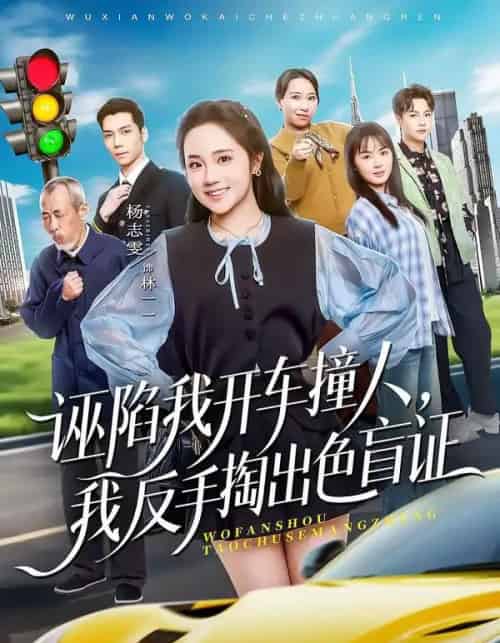 诬陷我开车撞人，我反手掏出色盲证（70集全）王俊杰＆杨志雯-海之城短剧项目