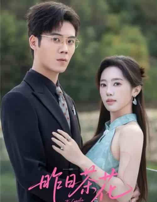 昨日茶花（56集全）许炎磊＆黄思宇-海之城短剧项目