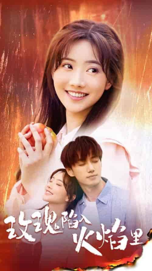 玫瑰陷入火焰里 玫瑰陷入火焰里