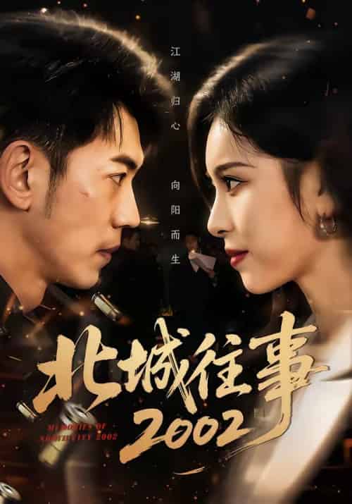 北城往事2002（60集全）李泉成＆金瑶-海之城短剧项目