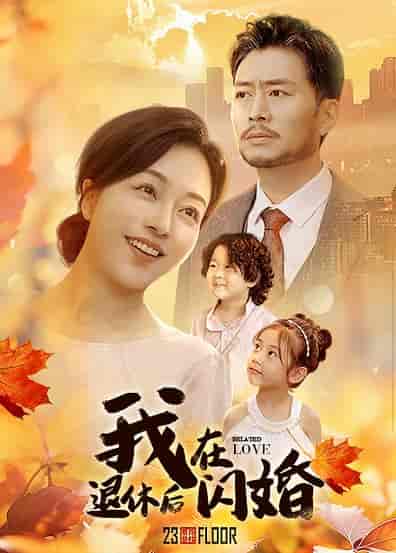 我在退休后闪婚（55集全） - 海之城短剧