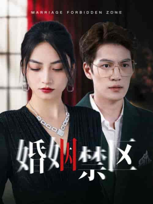 婚姻禁区（60集全） - 海之城短剧