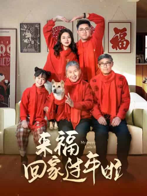 来福回家过年啦（34集） - 海之城短剧