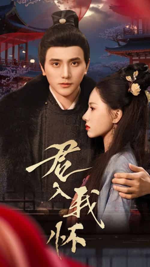 君入我怀（60集全） - 海之城短剧