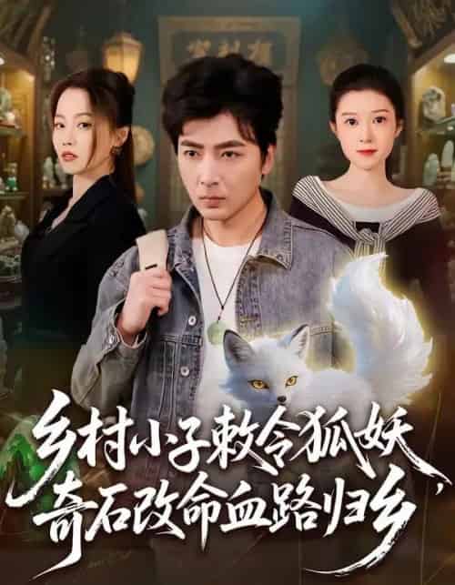乡村小子敕令狐妖，奇石改命血路归乡（80集全）郑明洋＆杨雨欣-海之城短剧项目