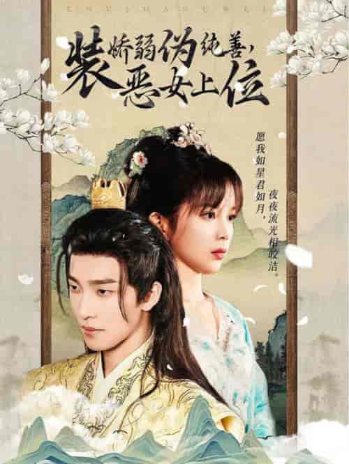 装娇弱伪纯善恶女上位（94集全）姚冠宇 - 海之城短剧
