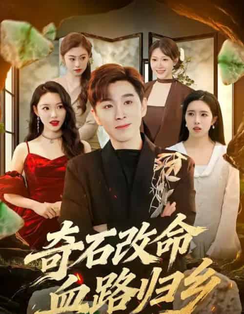 奇石改命血路归乡（81集全）胡程耀＆薛薛-海之城短剧项目
