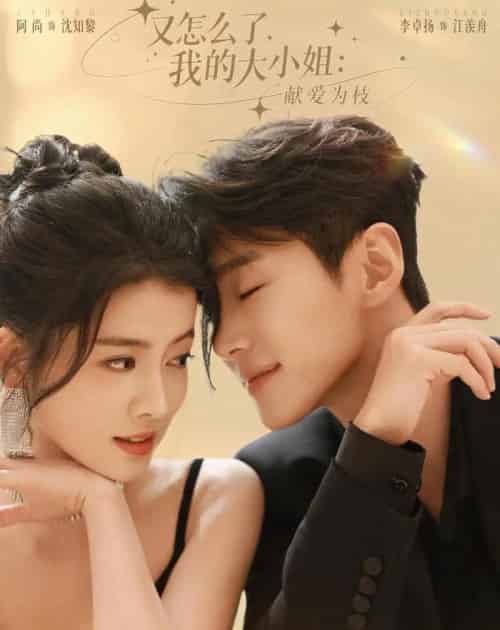 又怎么了，我的大小姐：献爱为枝（60集全）李卓扬＆阿尚（魏江）-海之城短剧项目
