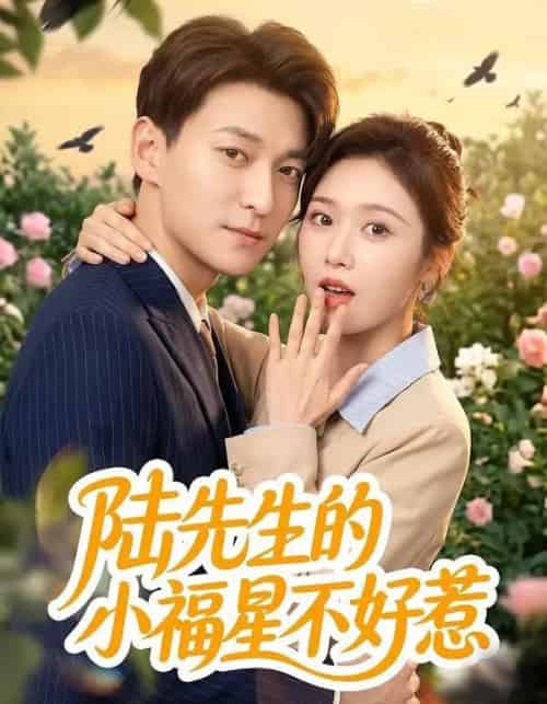 陆先生的小福星不好惹（56集全）肖涵＆何为-海之城短剧项目