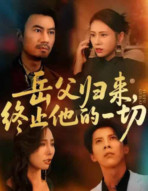 岳父归来，终止他的一切 （61集全） 李易泽＆钟小淇-海之城短剧项目