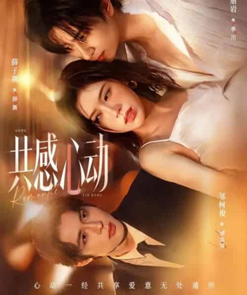 共感心动（66集全）侯朋岩＆薛子祺-海之城短剧项目