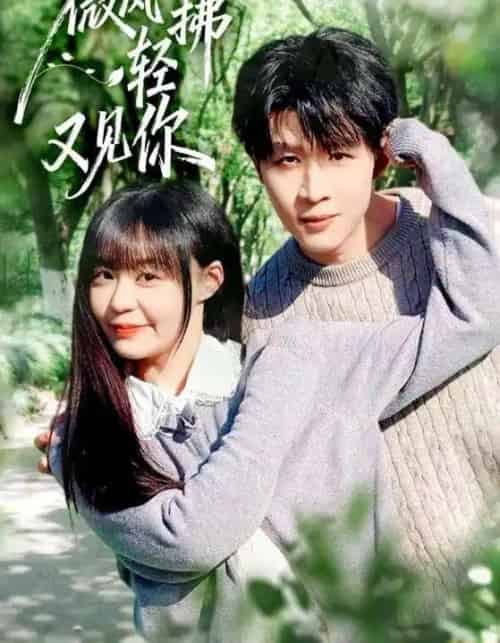 微风轻拂又见你（66集全）王雨博＆孙蔚琳-海之城短剧项目
