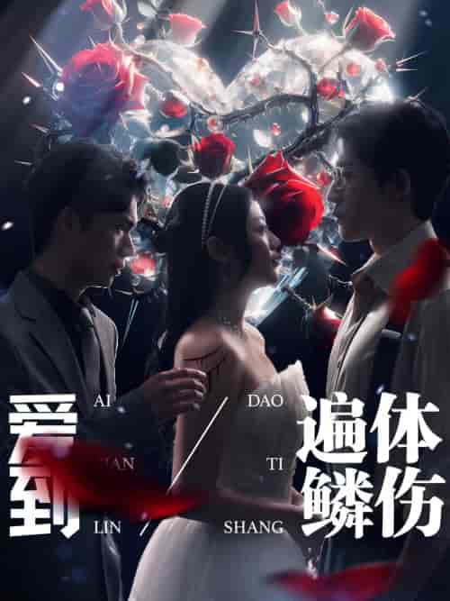 爱到遍体鳞伤（84集） - 海之城短剧