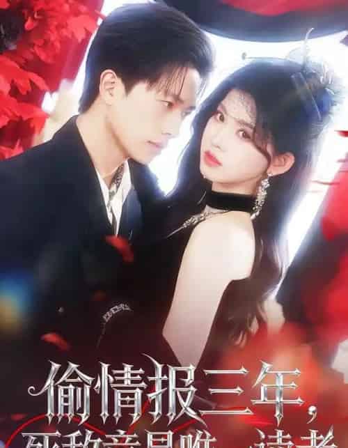 偷情报三年，死敌竟是唯一读者（101集全）陈智慧＆潘慧敏-海之城短剧项目