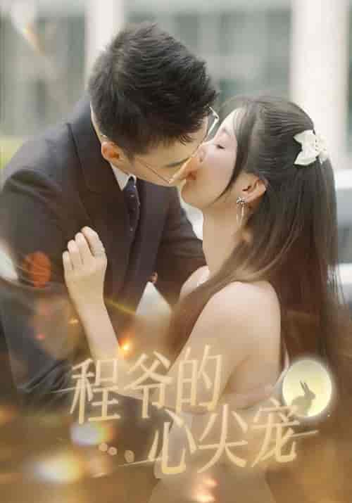 程爷的心尖宠（40集全）程君昊＆左柒柒 - 海之城短剧