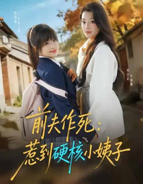 前夫作死：惹到硬核小姨子（62集全）韩佳芯＆韩露瑜-海之城短剧项目