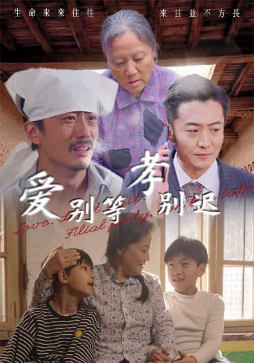 爱别等，孝别迟（56集全）张二宝＆周红梅 - 海之城短剧